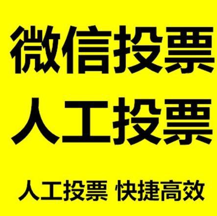 韶关市投票活动拉票能被查出来吗？如何操作能不被发现？